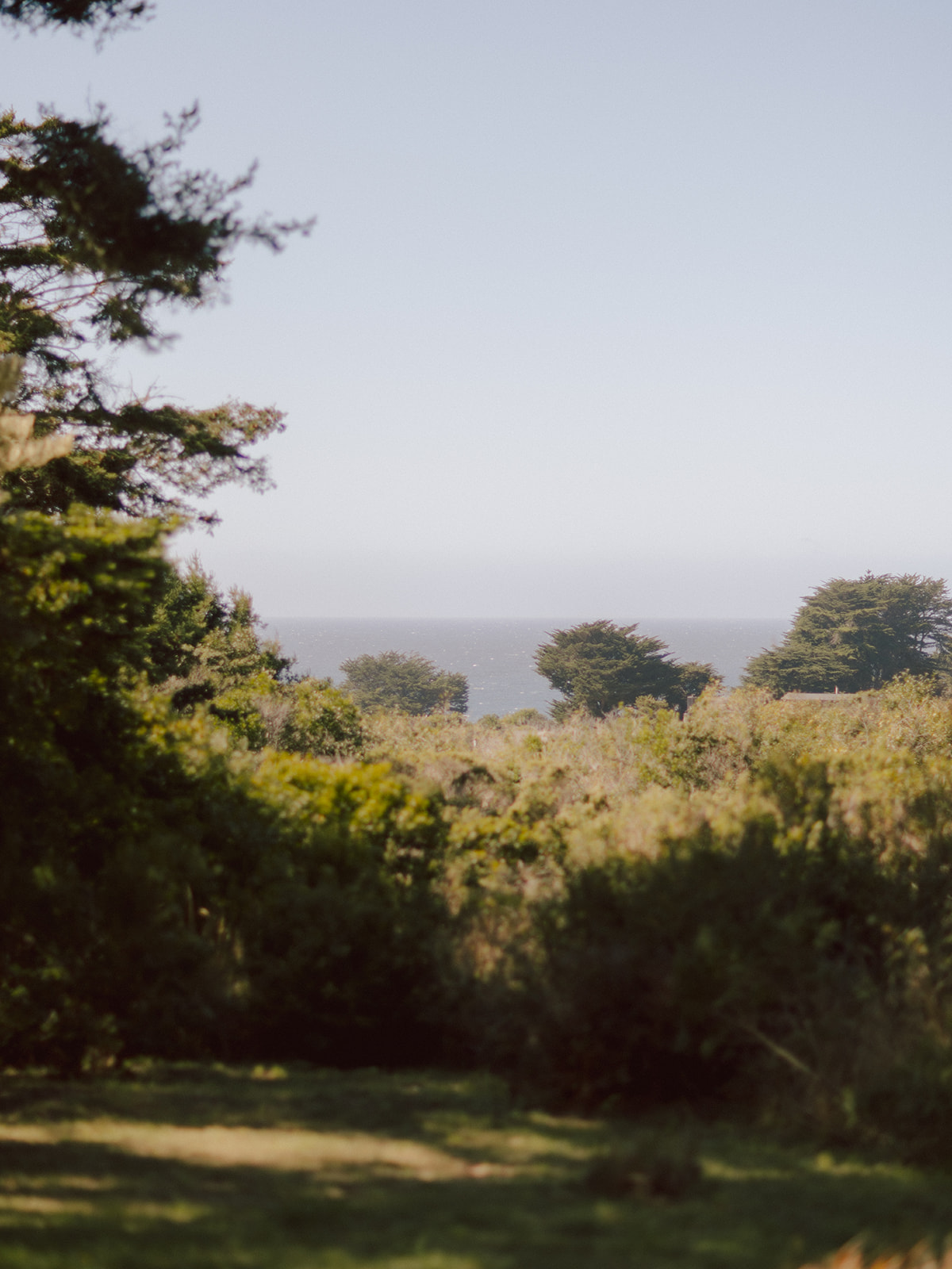 Salt Point State Park